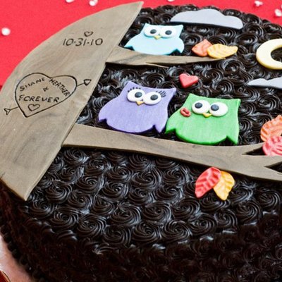 Owl Groom's Cake