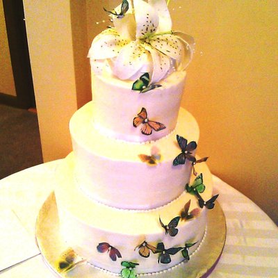 Enchanted Garden Butterly Cake
