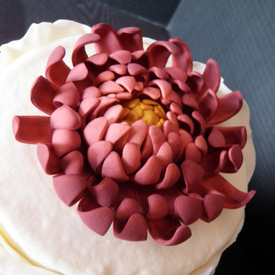 Chrysanthemums