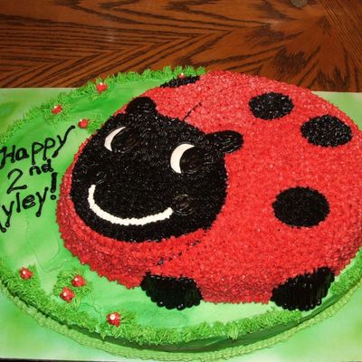 Lady Bug Cake