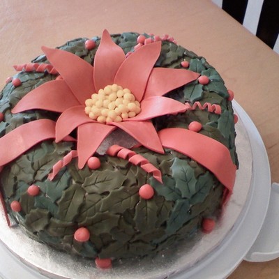 Christmas Wreath Cake