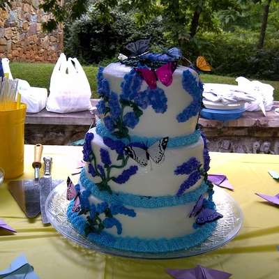 Butterfly Cake