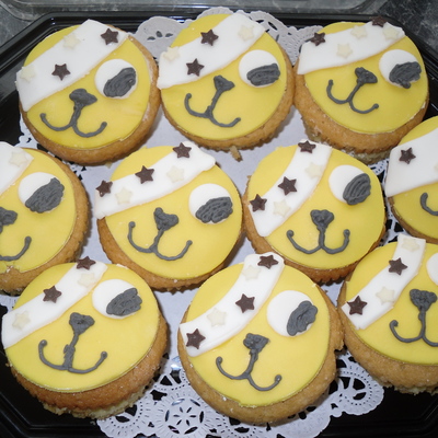 Pudssy Charity Cakes