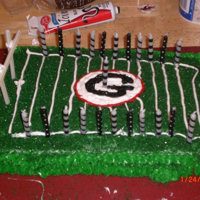University Of Georgia Birthday Cake