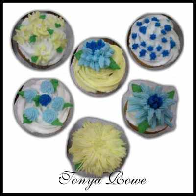 Wilton Basics (Course 1)