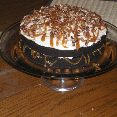 Turtle Cake