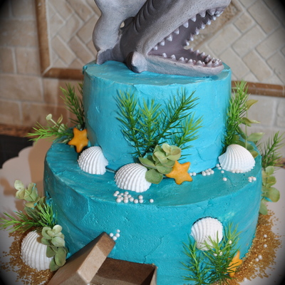 Shark Cake