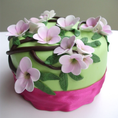 Sandra's Frangipani Cake