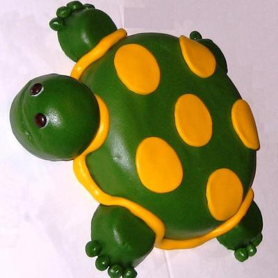 Turtle Cake