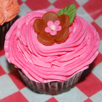 Pink And Brown Cupcake