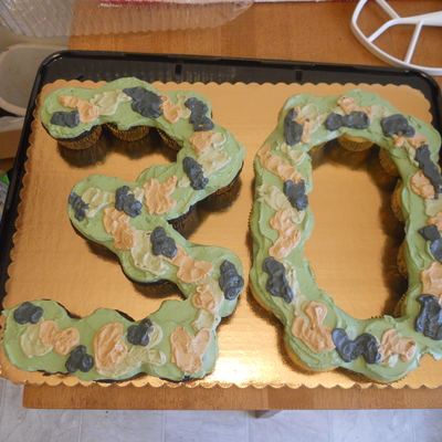 Camouflage Cupcakes