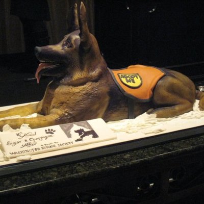 German Shepherd Cake