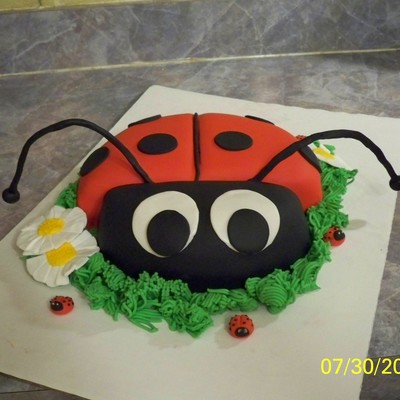 Lady Bug