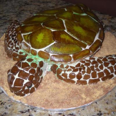 Sea Turtle Cake