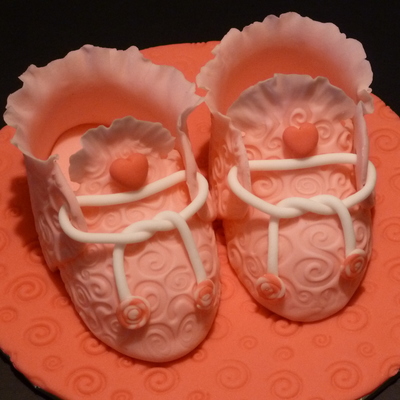 Baby Girl's Booties