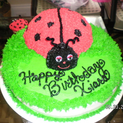 Lady Bug And Cupcakes