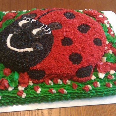 Lady Bug Theme