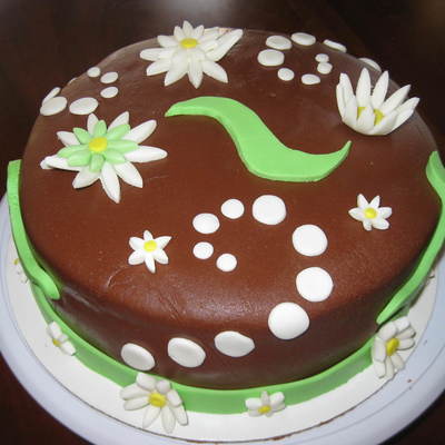 Chocolate Fondant Cake