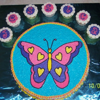 Butterfly Cake & Cupcakes