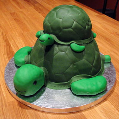 Father And Son Turtle Birthday Cake