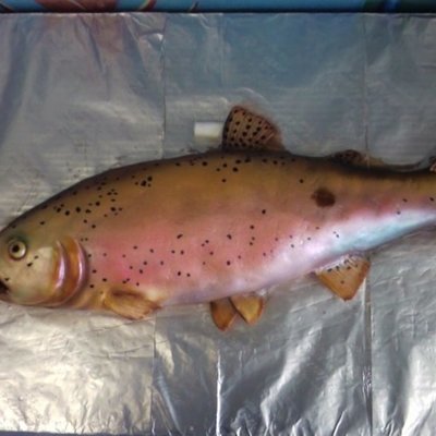 Fish Cake