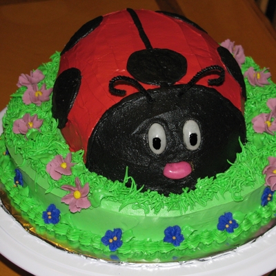 Ladybug Cake