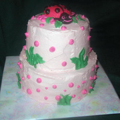 Lady Bug Baby Shower