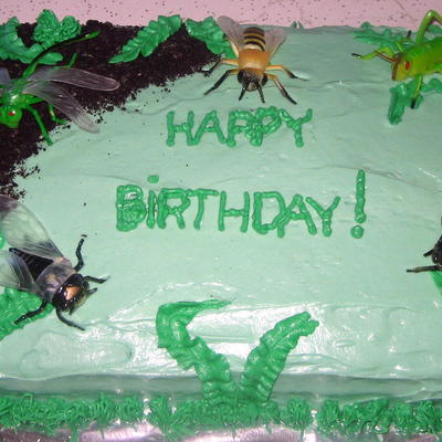 My First Bug Birthday Cake