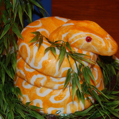 Albino Burmese Python Cake