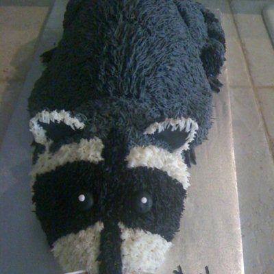 Raccoon Cake