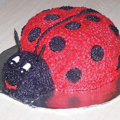 Ladybug