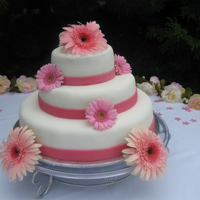 Pink Daisy