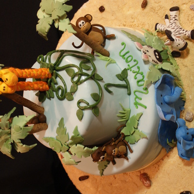 Jungle Cake