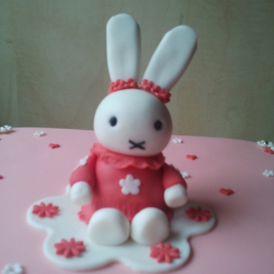 A Bunny Named Nijntje