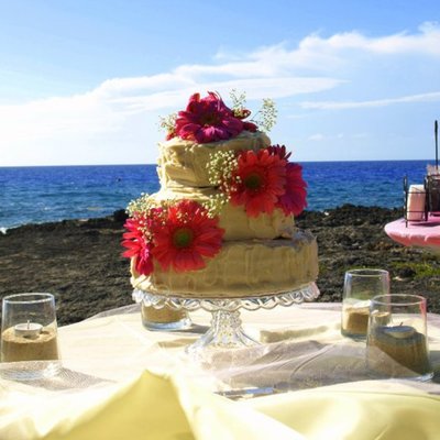 Simple Wedding Cake