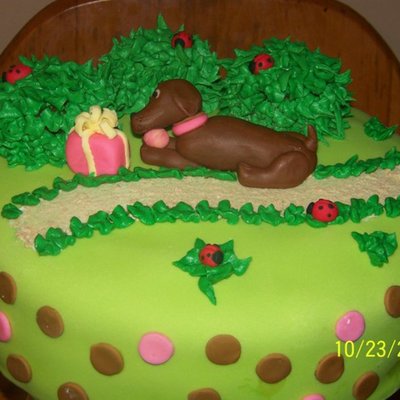 "weiner Dog" Birthday Cake For A Child