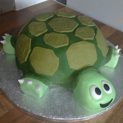 Tortoise Cakes