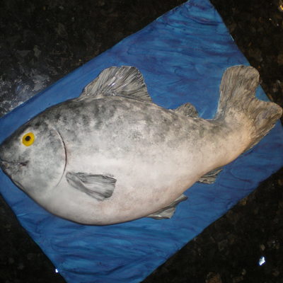 Fish Cake