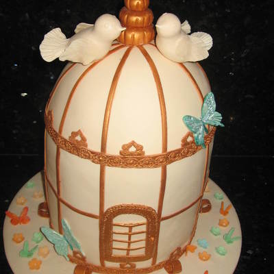 Engagement Cage Cake