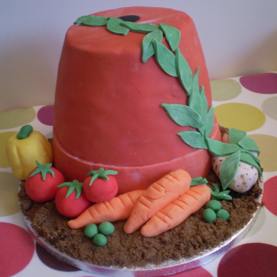 Plant Pot Cake
