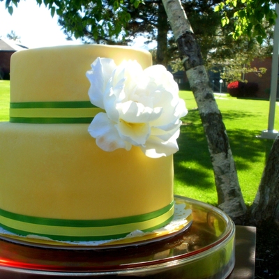 Elegant And Fun Birthday Cake