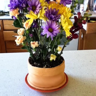 Flower Pot Cake