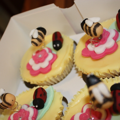 Cupcakes With Ladybird And Bumble Bee On Flower