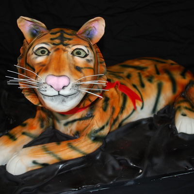 Mother's Day Tiger!
