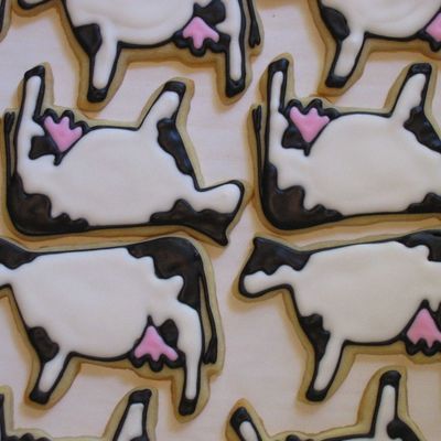 Cows!