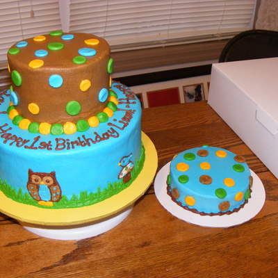Owl 1St Birthday Cake