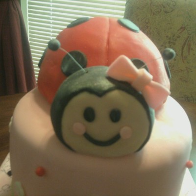 Ladybug Cake