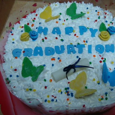 Chocolate Mousse Cake