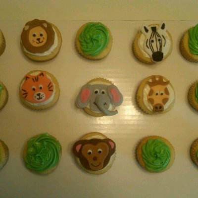 Safari Cupcakes