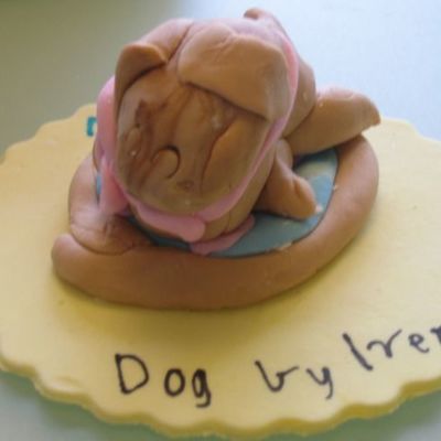 Fondant Dog